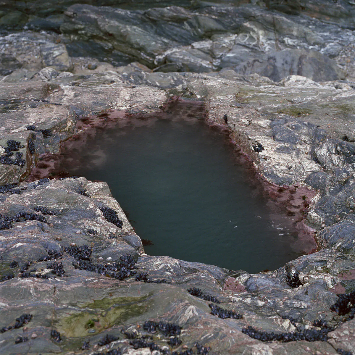 Baths by Caroline McQuarrie