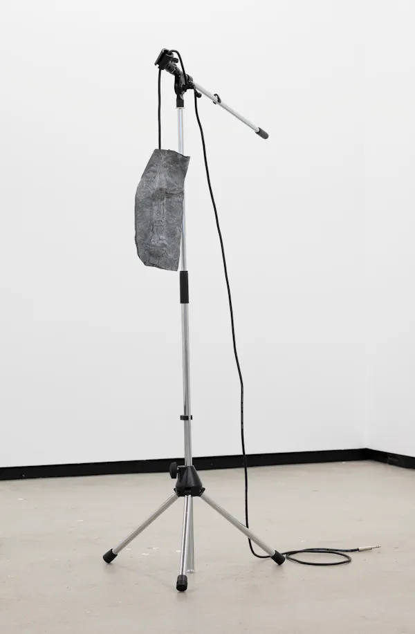 Mic Sinker by Caitlin Devoy