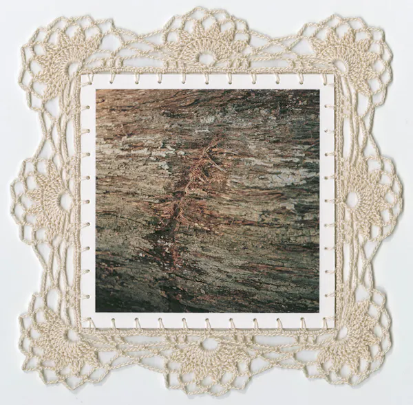 Log by Caroline McQuarrie