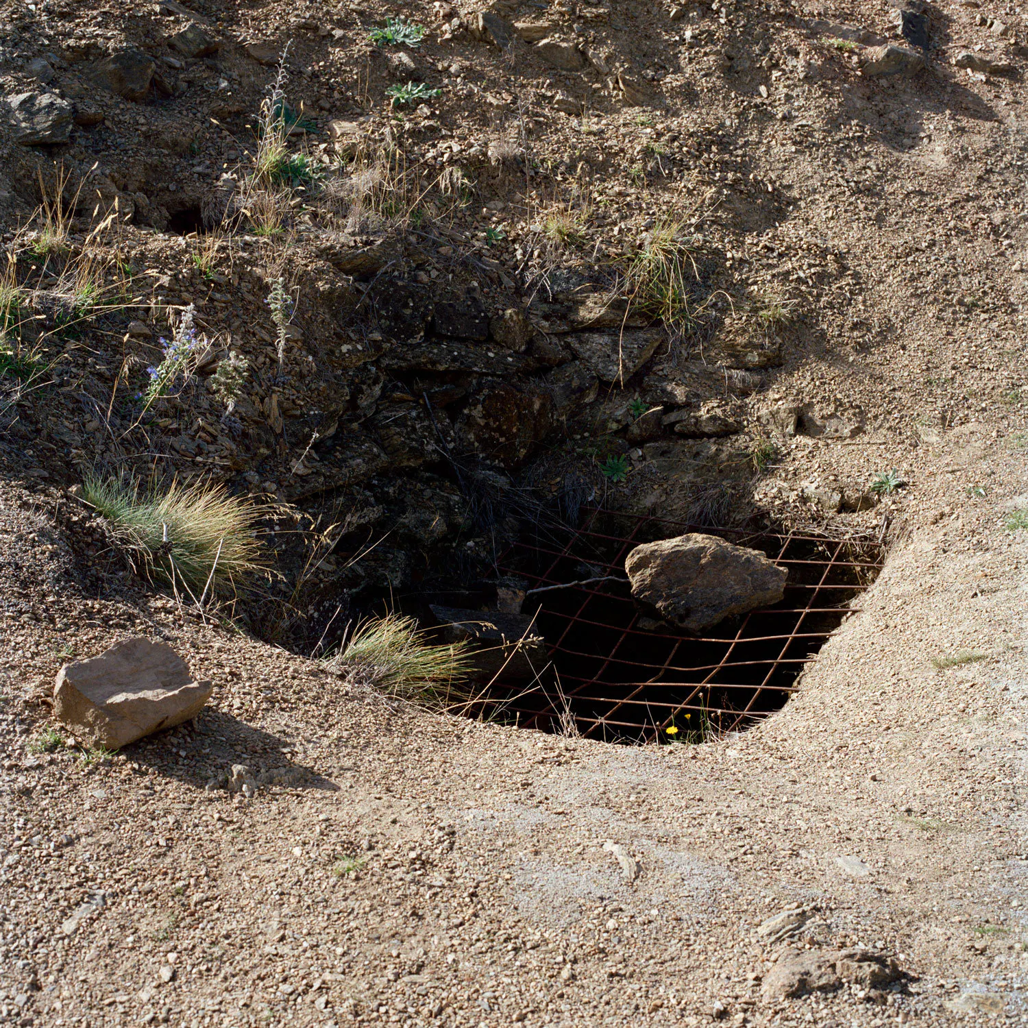 Mine Shaft by Caroline McQuarrie