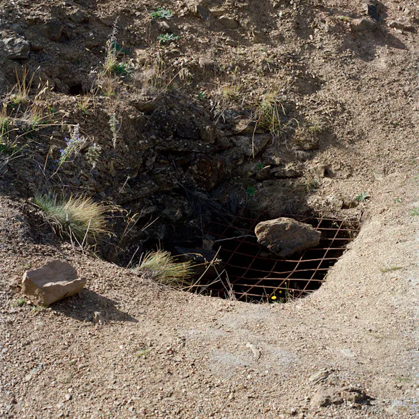 Mine Shaft by Caroline McQuarrie