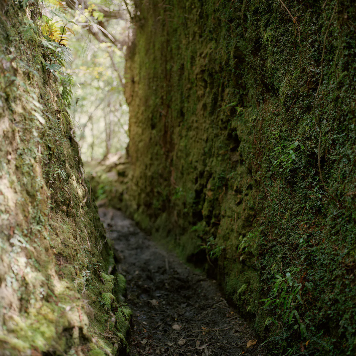 Broken Hills Water race track by Caroline McQuarrie