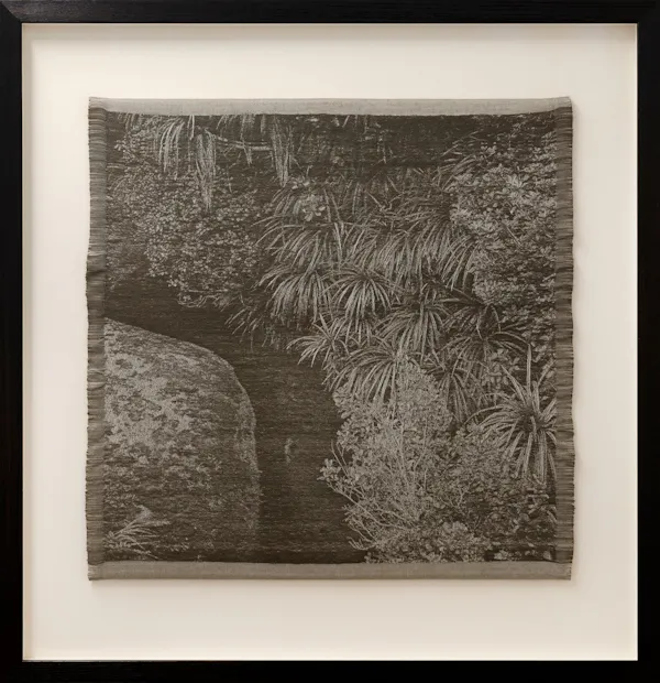 Bullock Creek, Buller District (Ngāi Tahu, Ngāti Toa Rangatira, Ngāti Rārua rohe) by Caroline McQuarrie