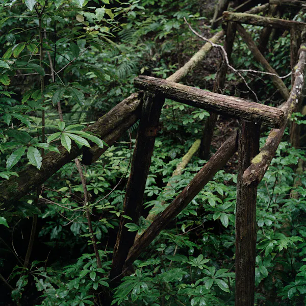 Flume Trestles by Caroline McQuarrie