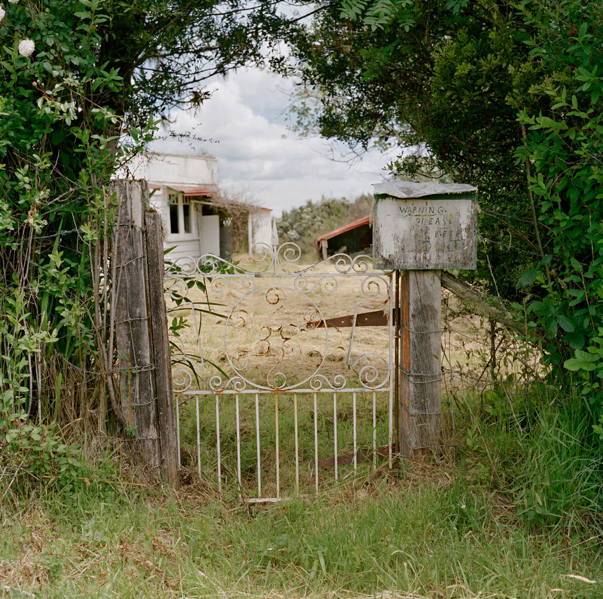 Former residence of Joseph Divis, photographer and miner (uninhabited), Waiuta, December 2011 by Caroline McQuarrie