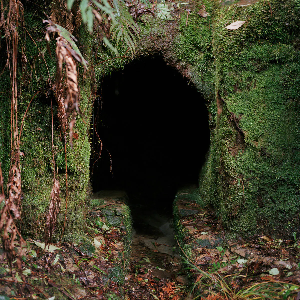 Homewardbounder #04 by Caroline McQuarrie