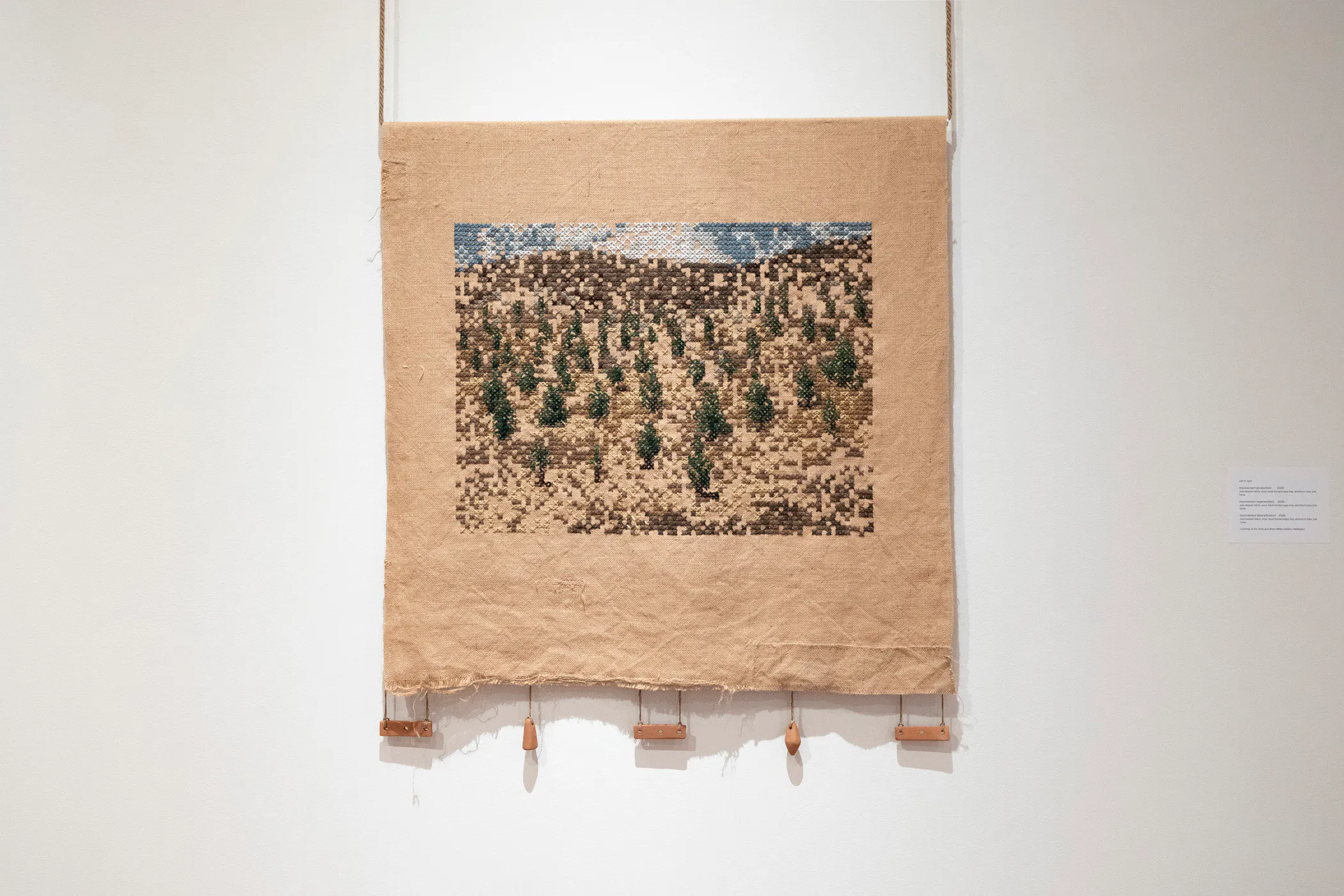 Improvement (diversification) by Caroline McQuarrie