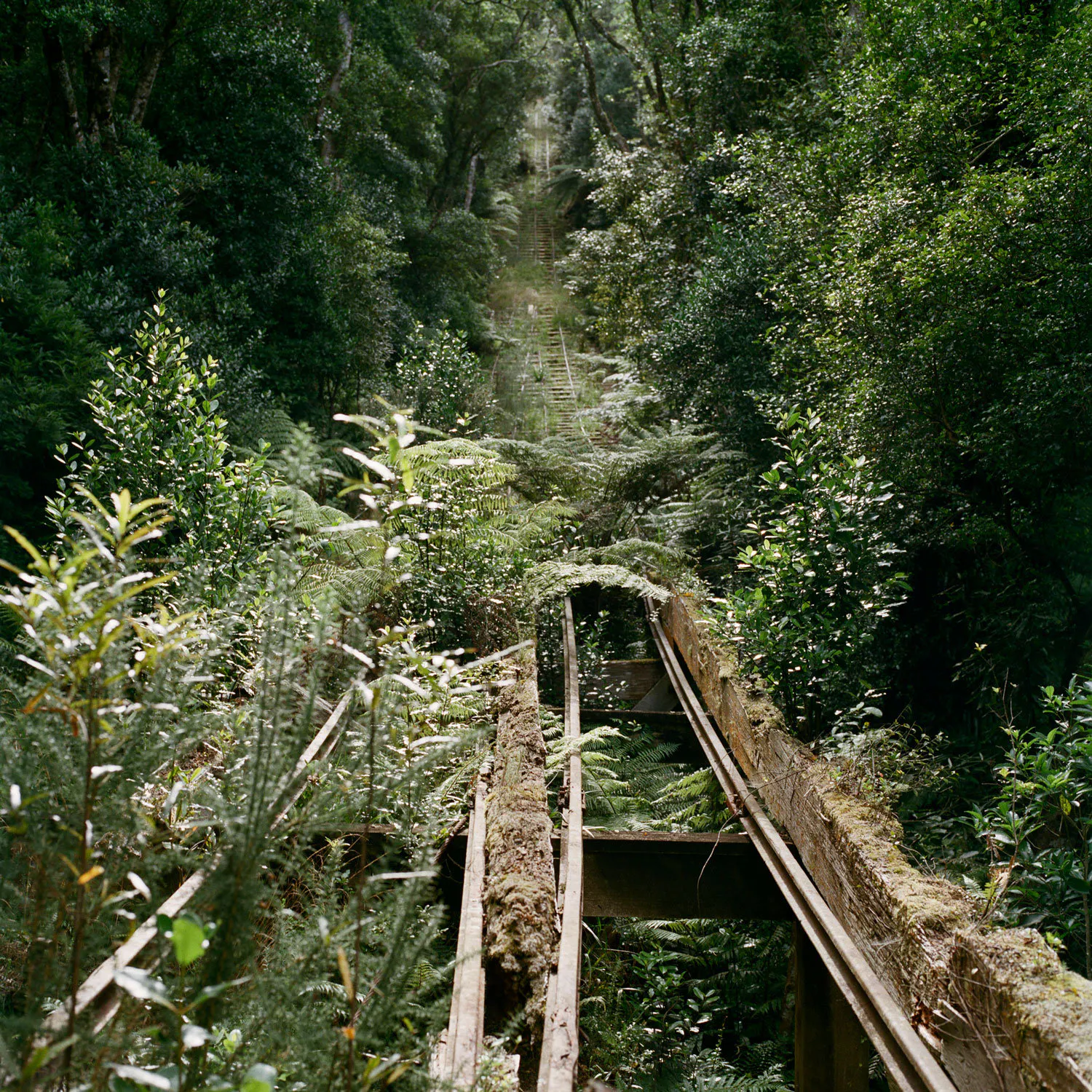 Incline by Caroline McQuarrie