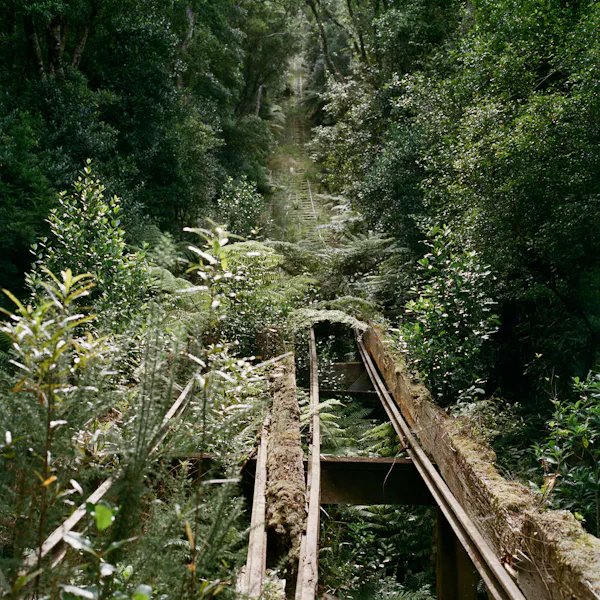 Incline by Caroline McQuarrie