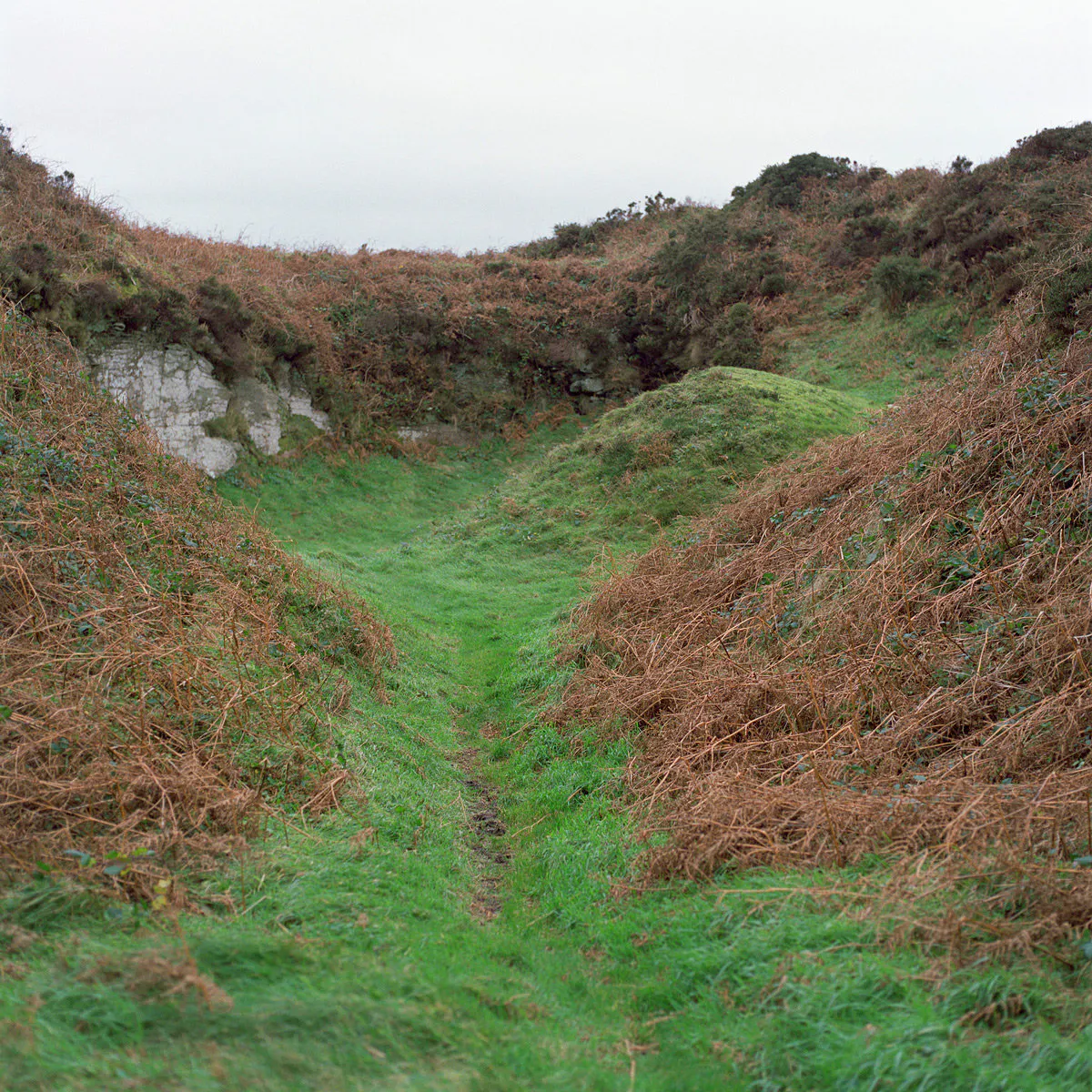 Preaching Pit, Tregonning Hill, Cornwall, UK by Caroline McQuarrie