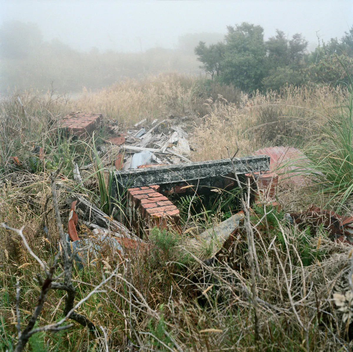 Remains of private residence, Denniston, January 2013 by Caroline McQuarrie