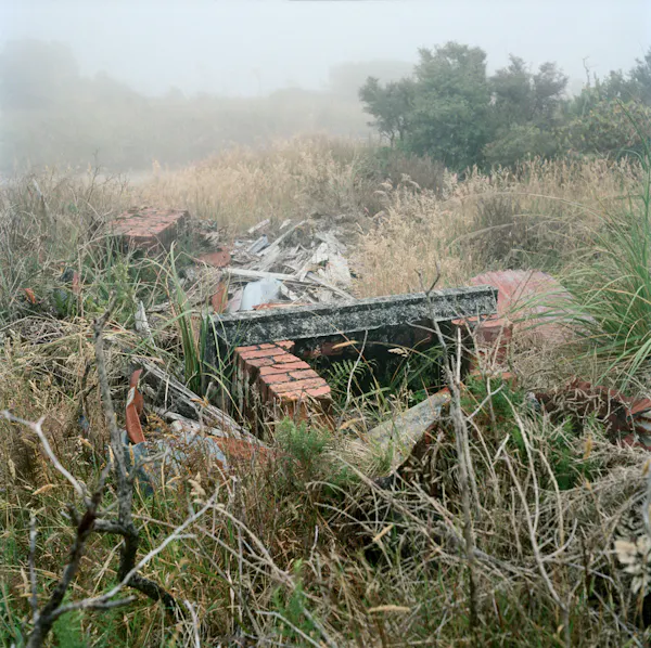 Remains of private residence, Denniston, January 2013 by Caroline McQuarrie