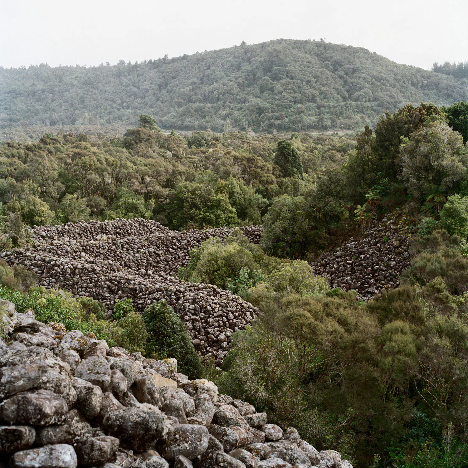 Tailings by Caroline McQuarrie