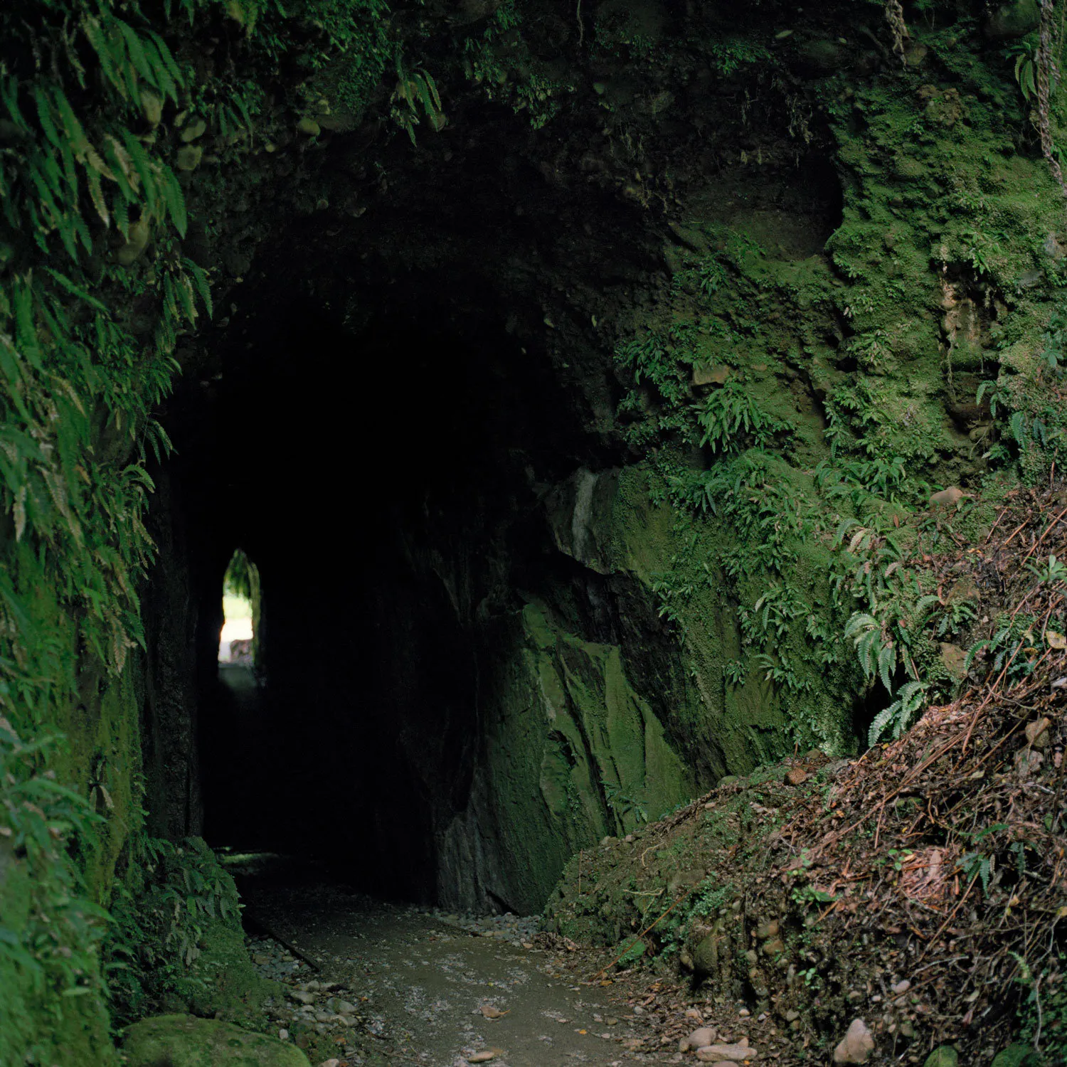 Tunnel by Caroline McQuarrie