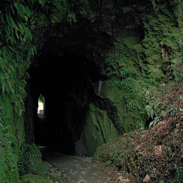 Tunnel by Caroline McQuarrie