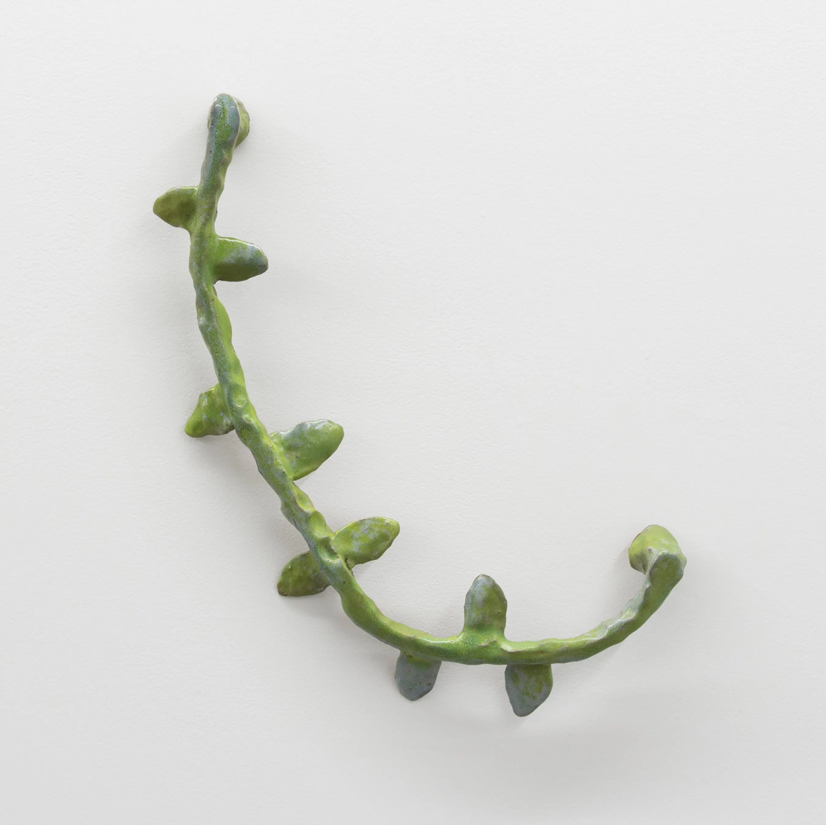 Verdant vine by Jaime Jenkins