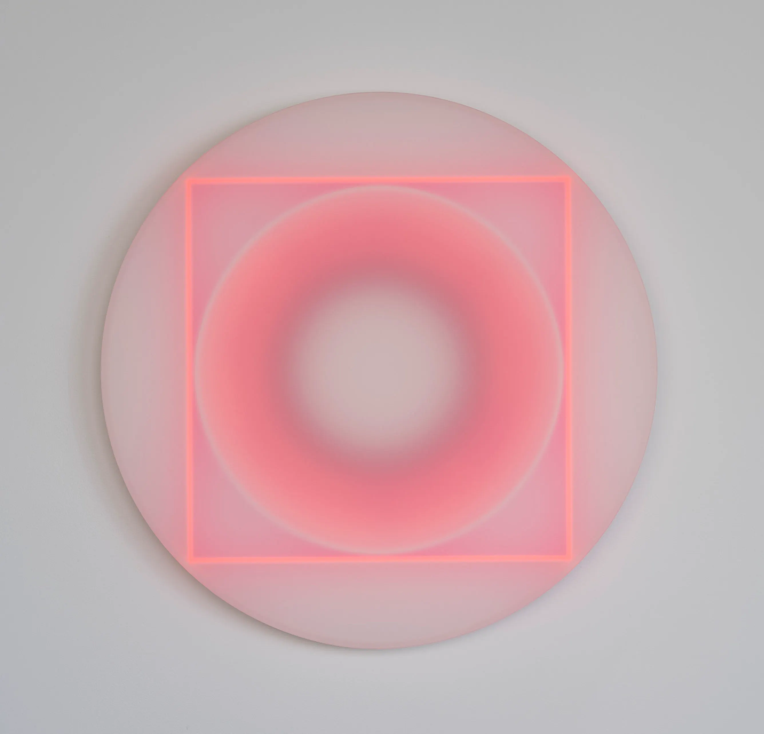 Insight by Kāryn Taylor