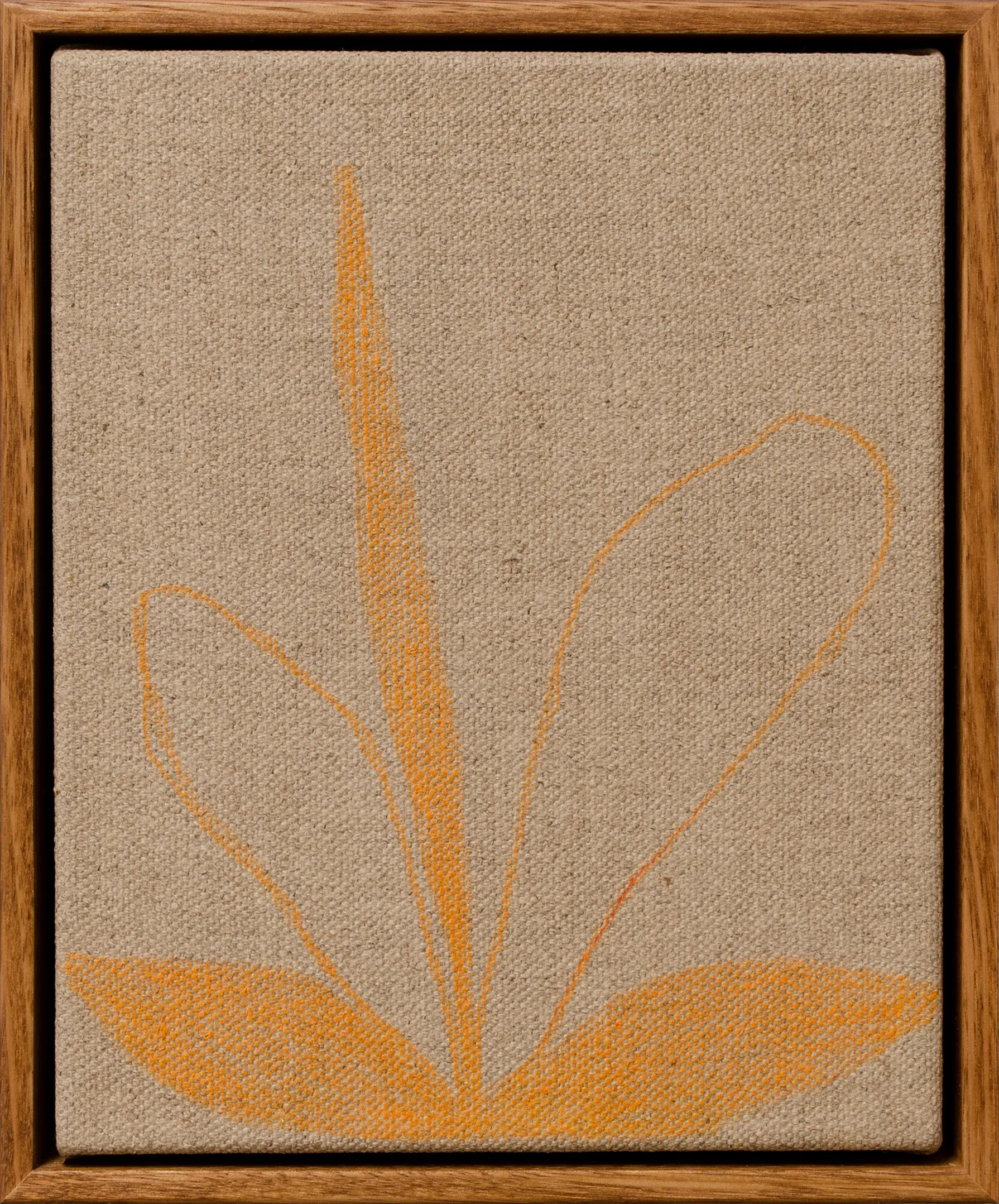 Orange Flower by Ruby Wilkinson