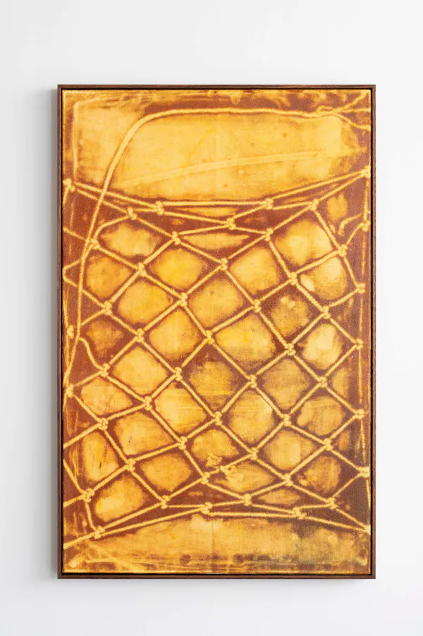 Proceed, in collaboration with Rose Pickernell by Ruby Wilkinson