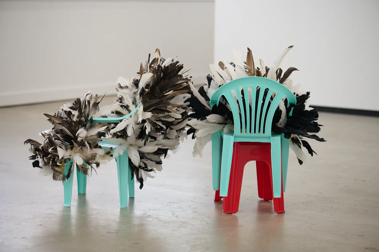 Judy Darragh