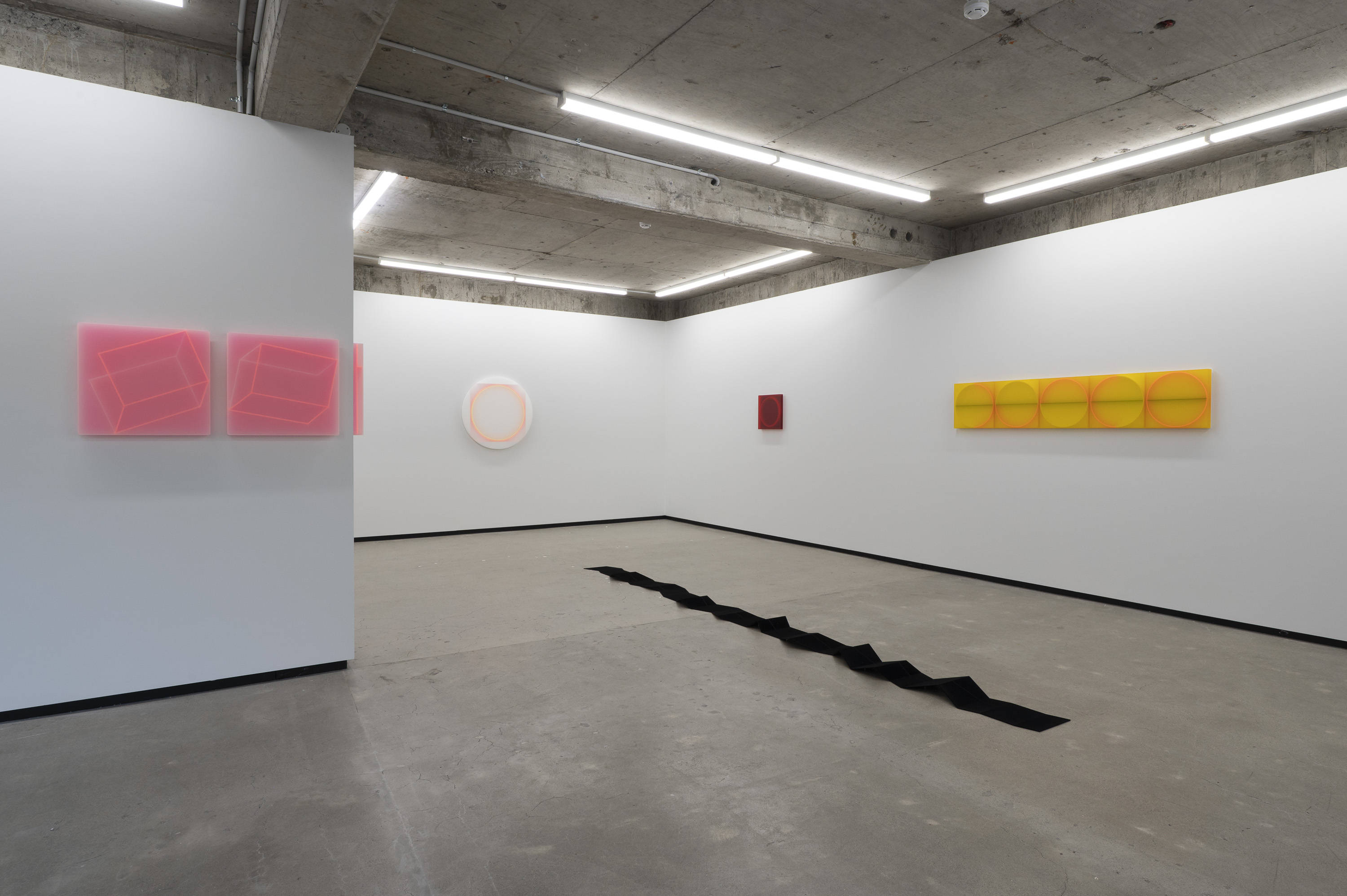 Karyn Taylor Cosmic Mind, Quantum Field