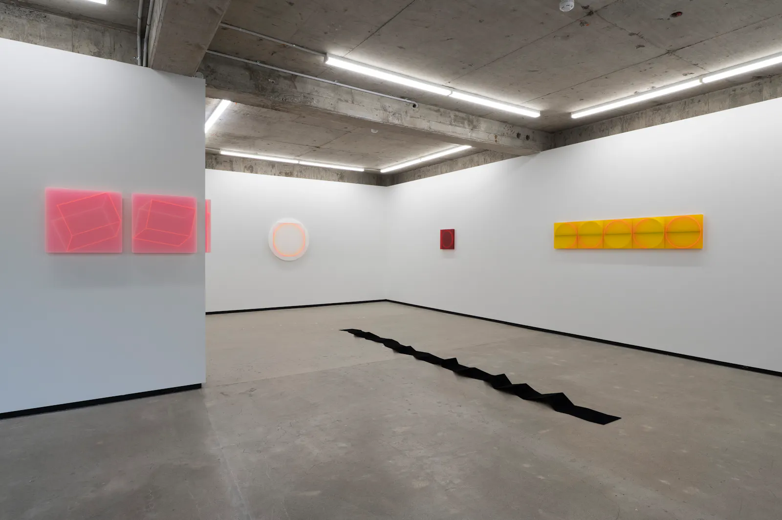 Karyn Taylor Cosmic Mind, Quantum Field