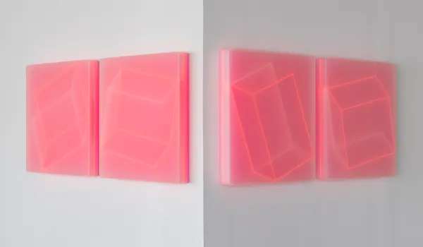 Karyn Taylor Cosmic Mind, Quantum Field