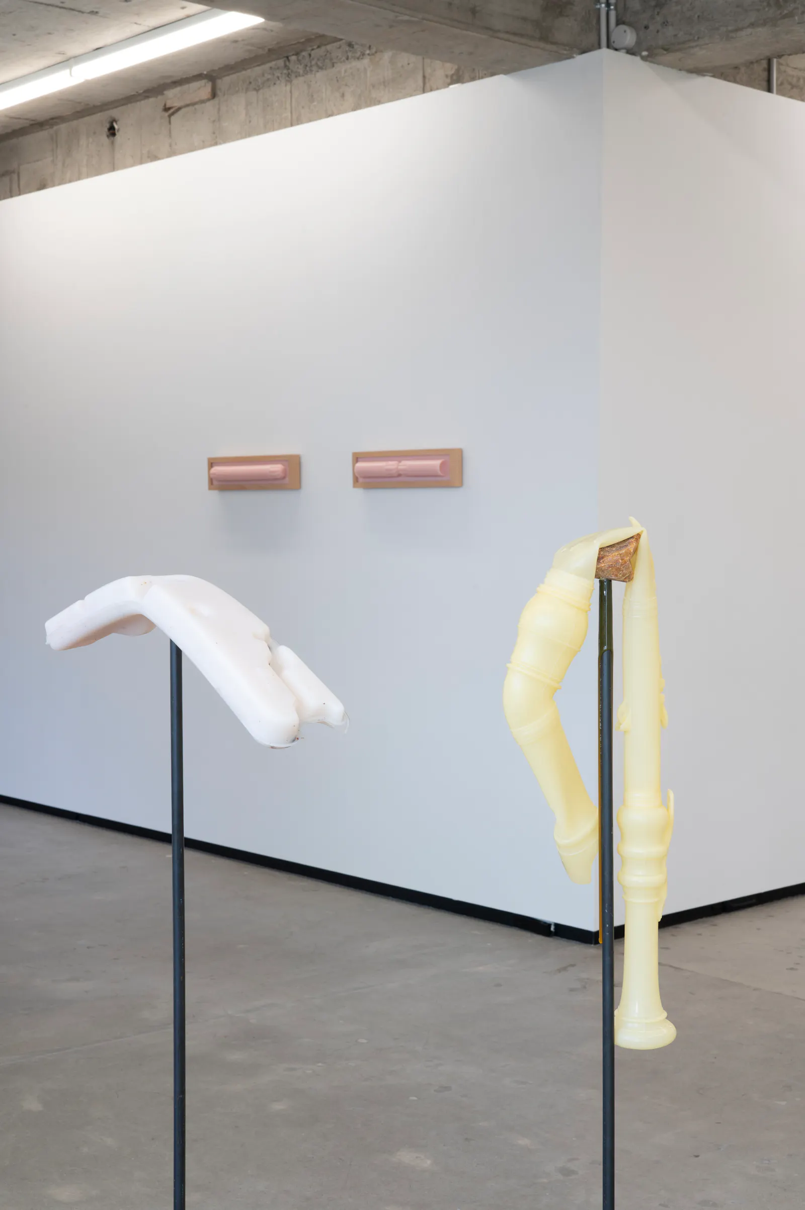 Caitlin Devoy Jhana Millers Gallery
