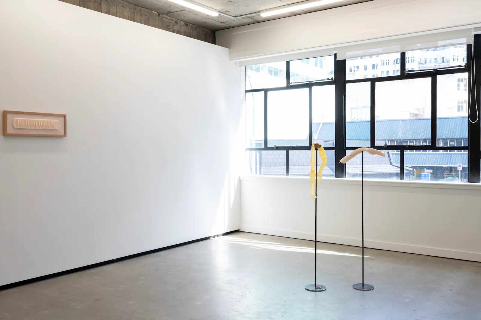 Caitlin Devoy Jhana Millers Gallery