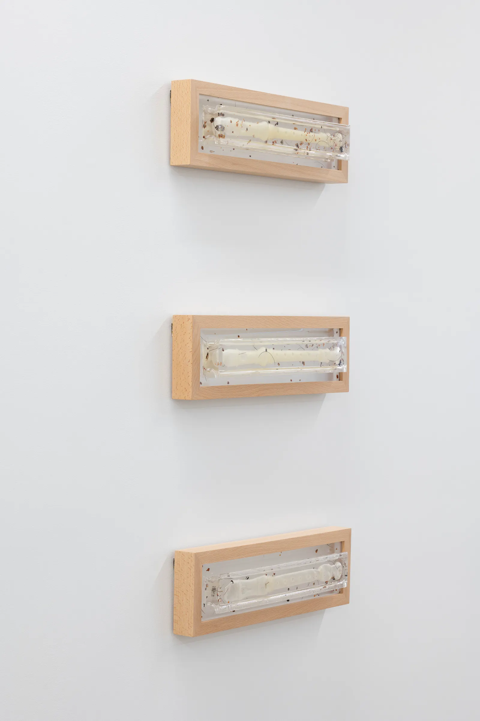 Caitlin Devoy Jhana Millers Gallery