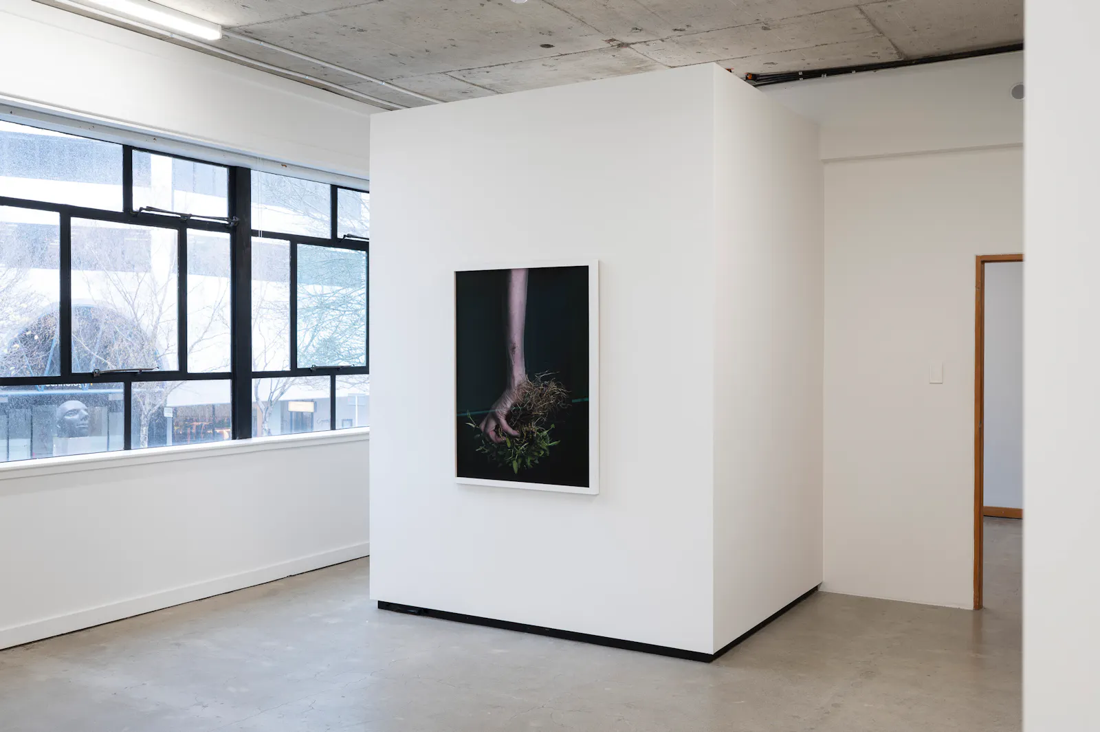 Ann Shelton Jhana Millers Gallery