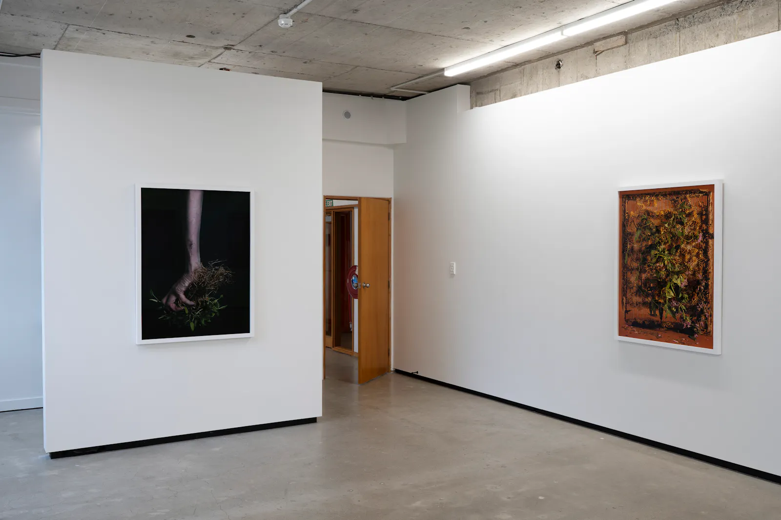 Ann Shelton Jhana Millers Gallery