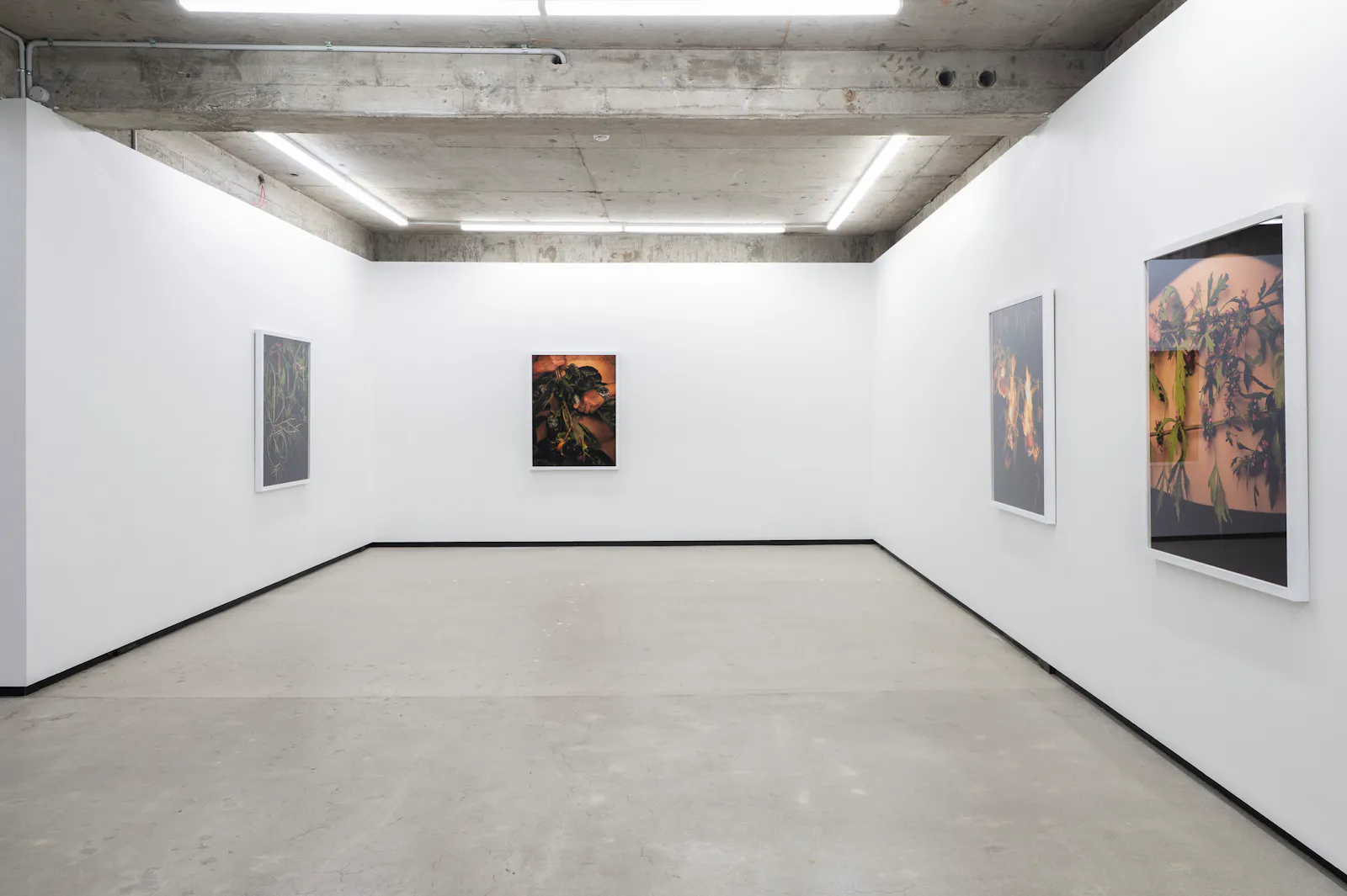 Ann Shelton Jhana Millers Gallery