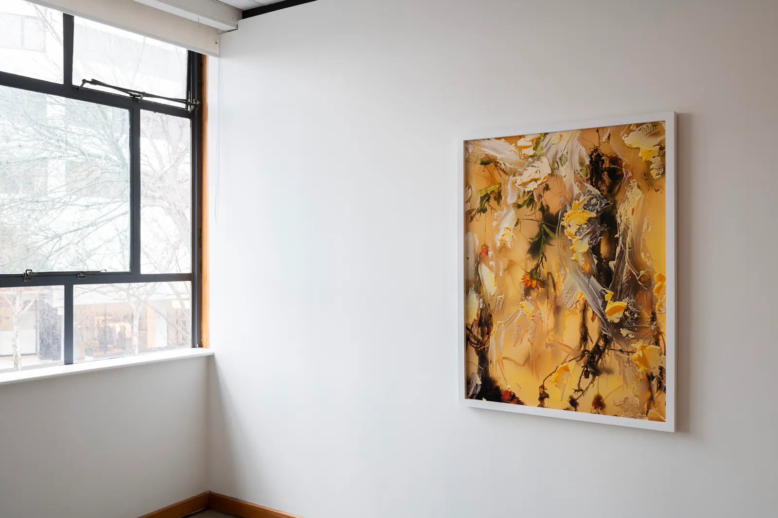 Ann Shelton Jhana Millers Gallery
