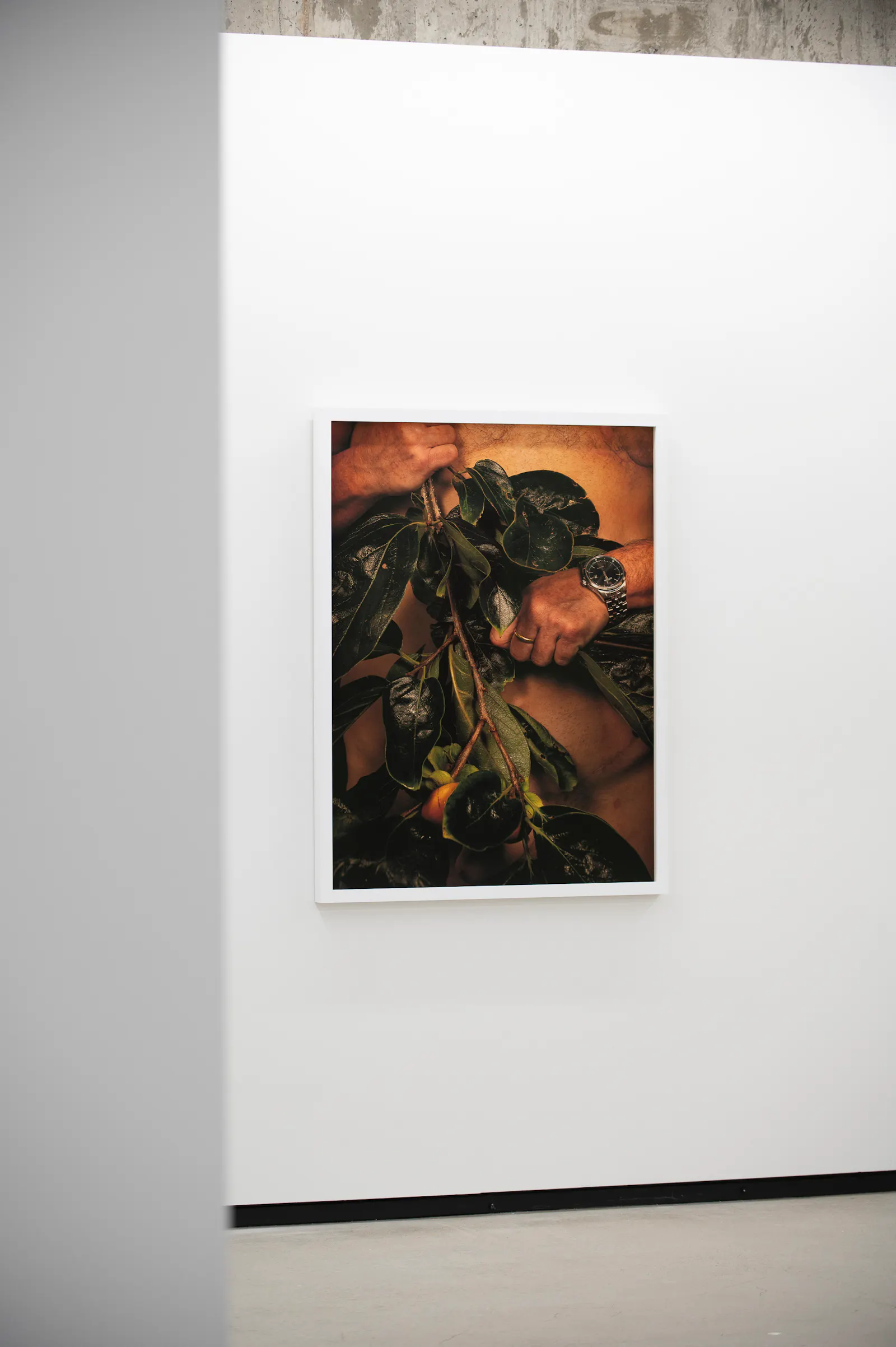 Ann Shelton Jhana Millers Gallery