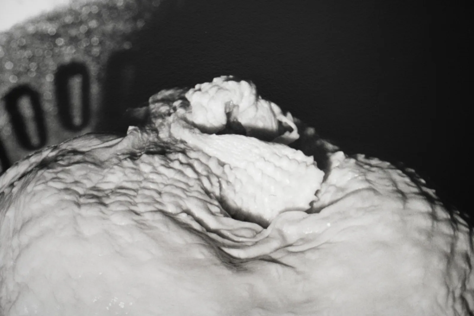 Harry Culy and Tyne Gordon Jhana Millers Gallery
