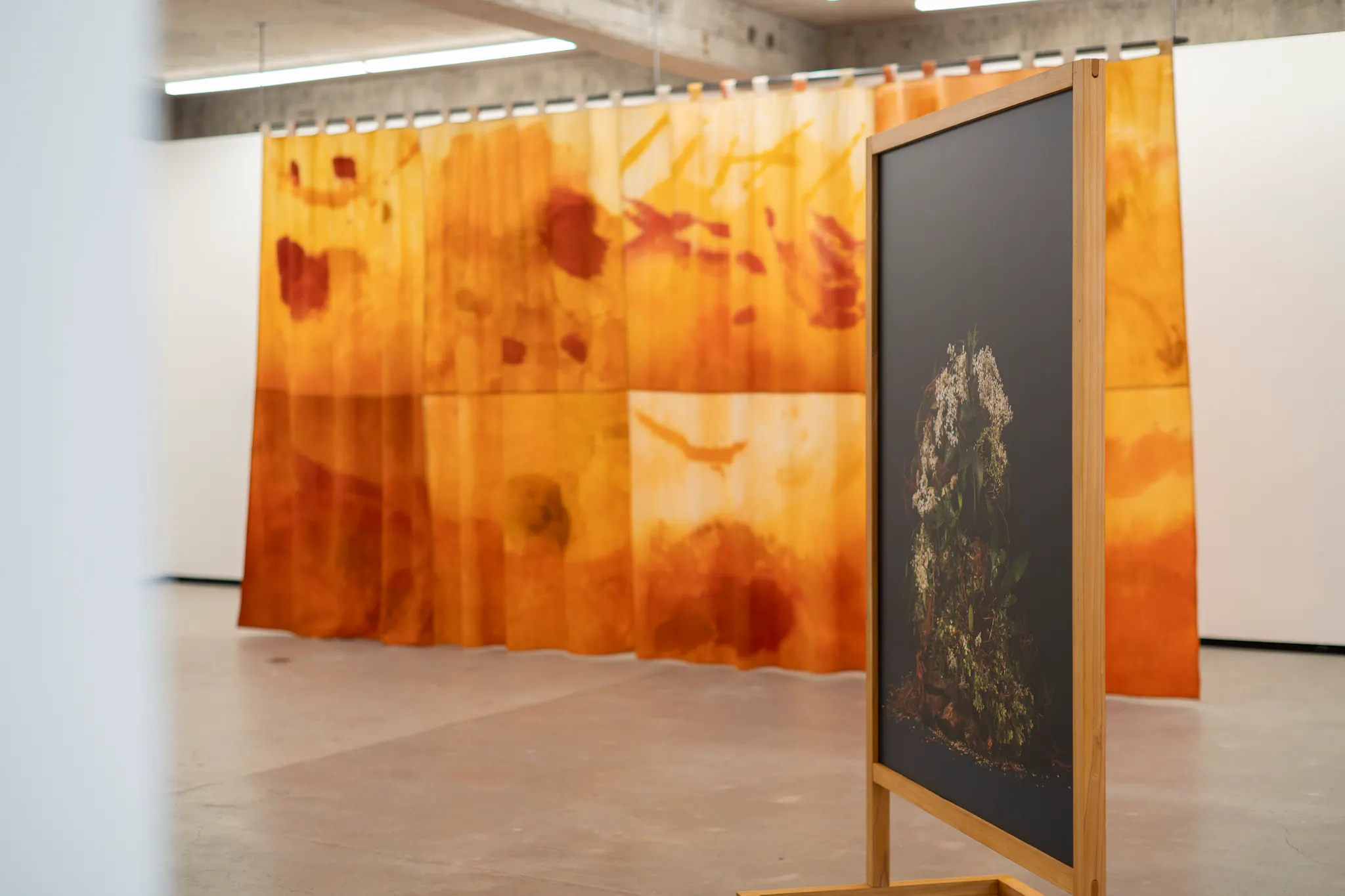 Cut Flowers Jhana Millers Gallery