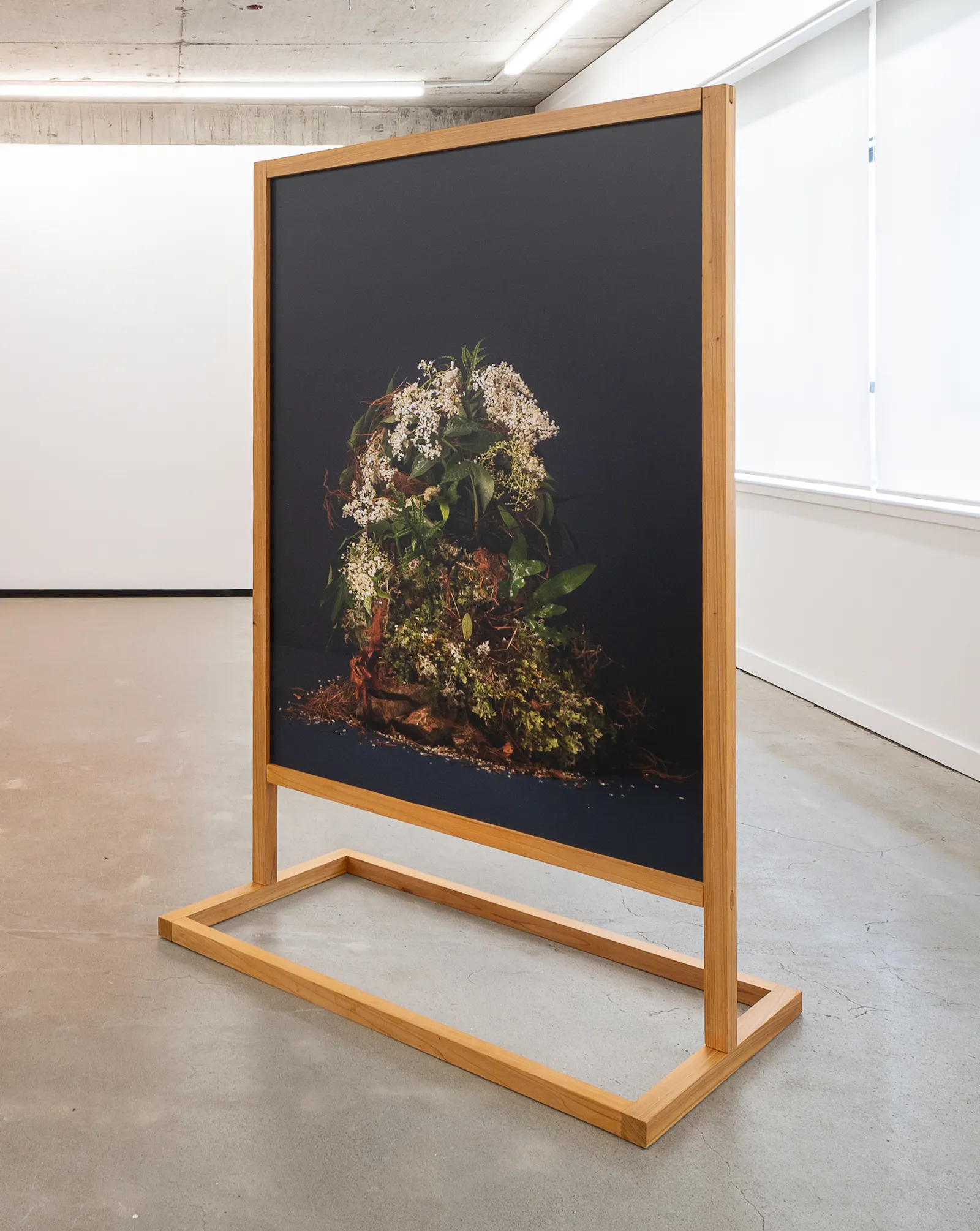 Cut Flowers Jhana Millers Gallery