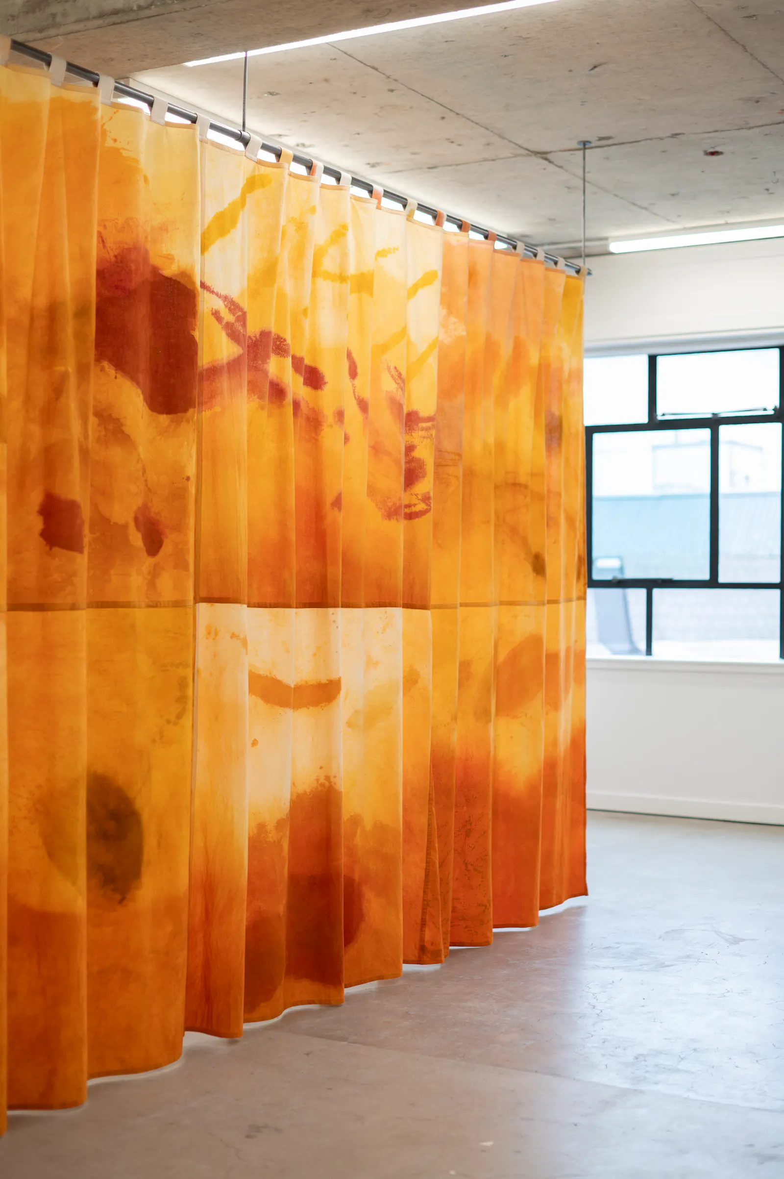 Cut Flowers Jhana Millers Gallery