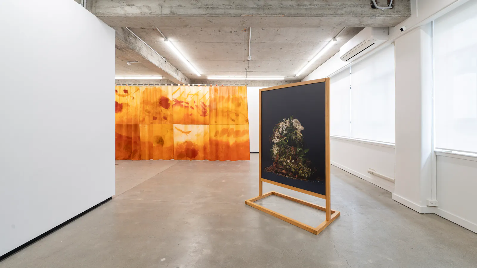 Cut Flowers Jhana Millers Gallery