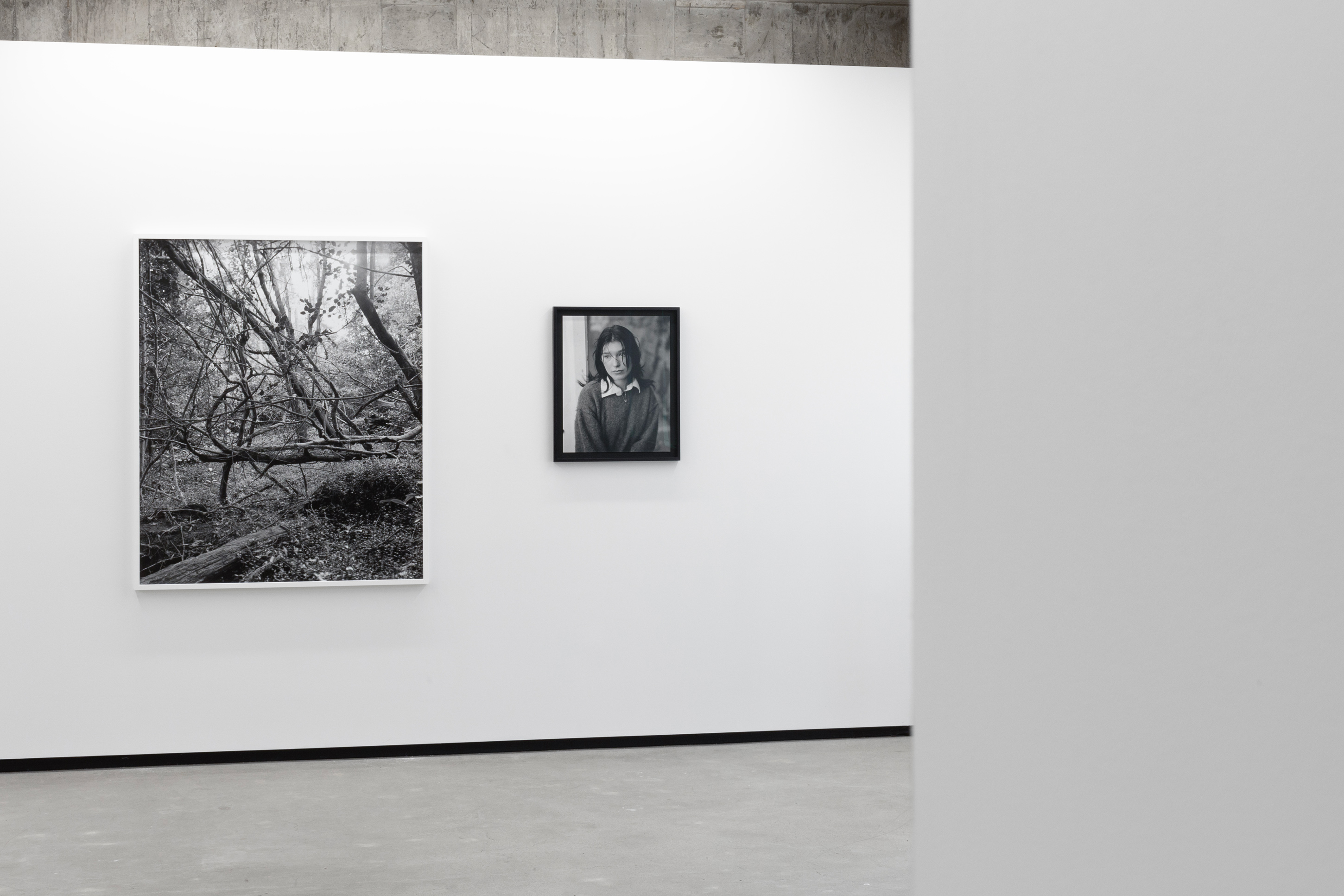 Harry Culy Jhana Millers Gallery