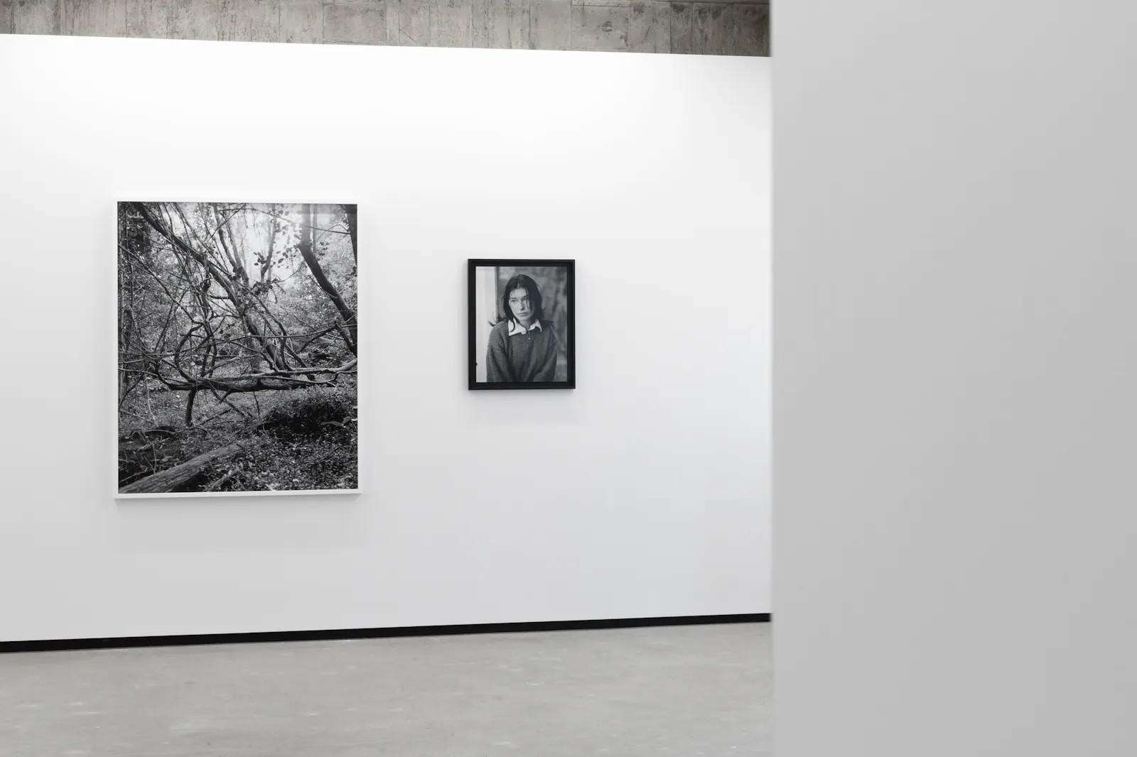Harry Culy Jhana Millers Gallery