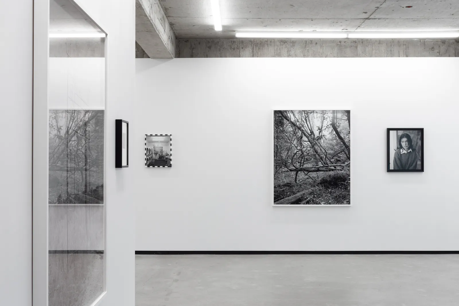 Harry Culy Jhana Millers Gallery
