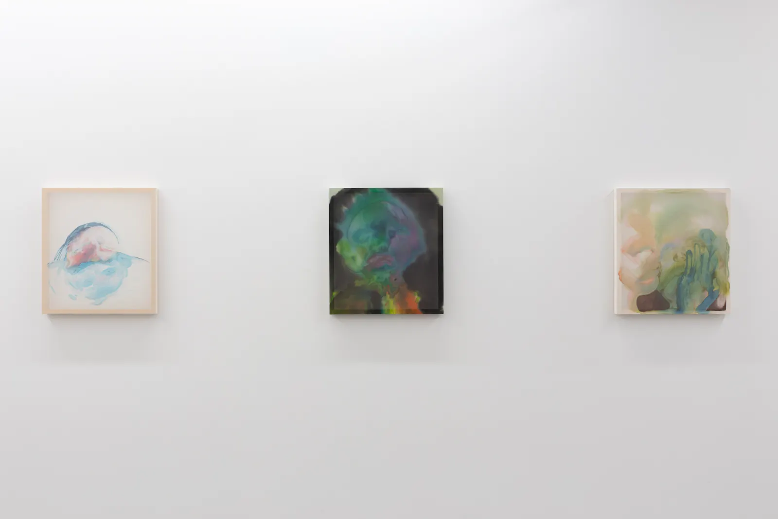 Hannah Ireland Jhana Millers Gallery
