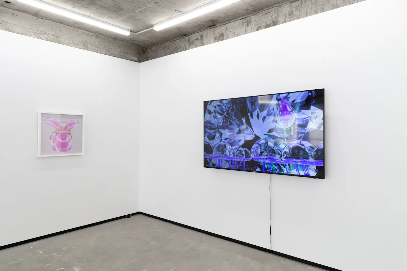Caitlin Devoy and Hye Rim Lee Jhana Millers Gallery