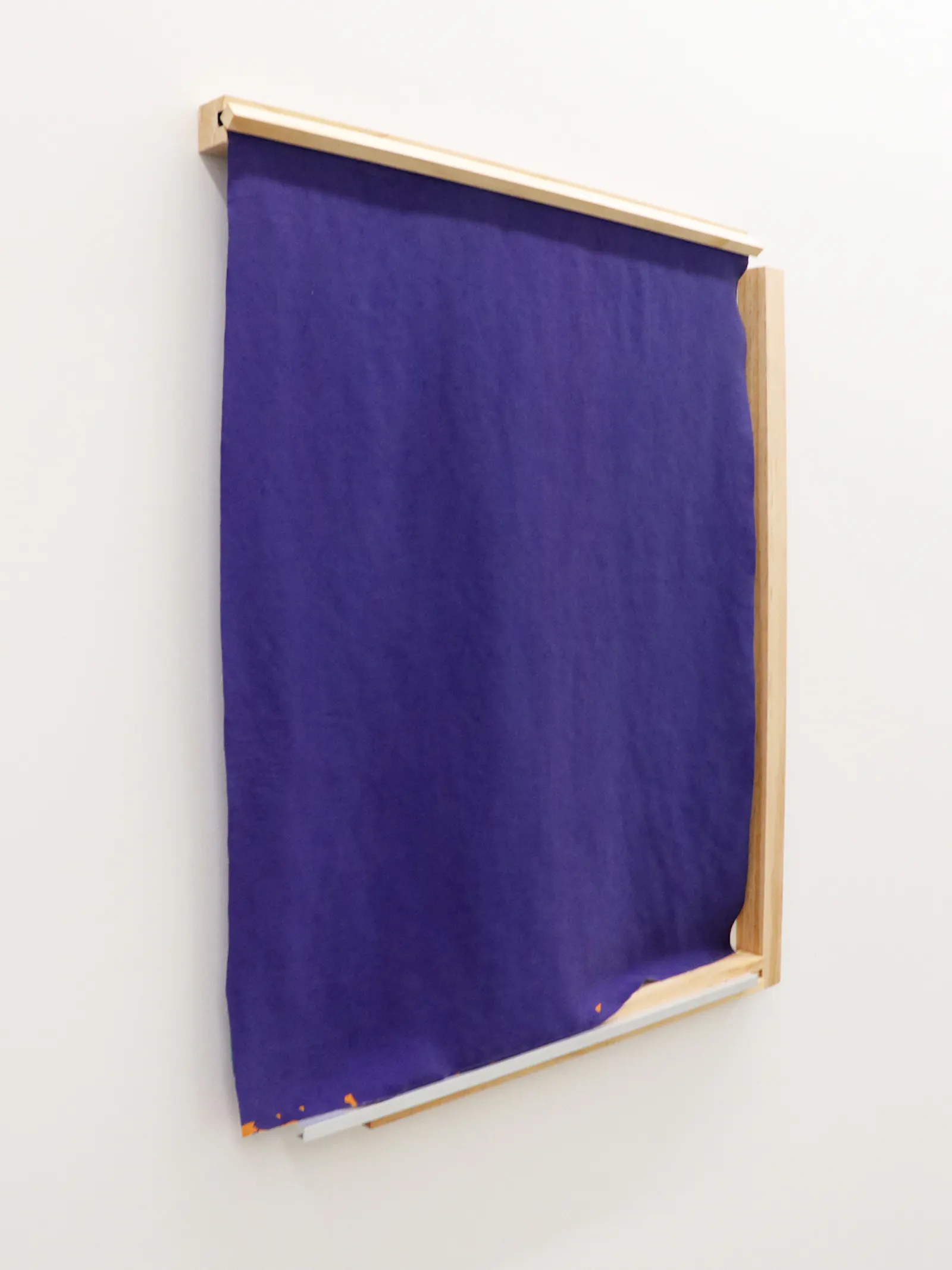 Scarlett Cibilich Jhana Millers Gallery