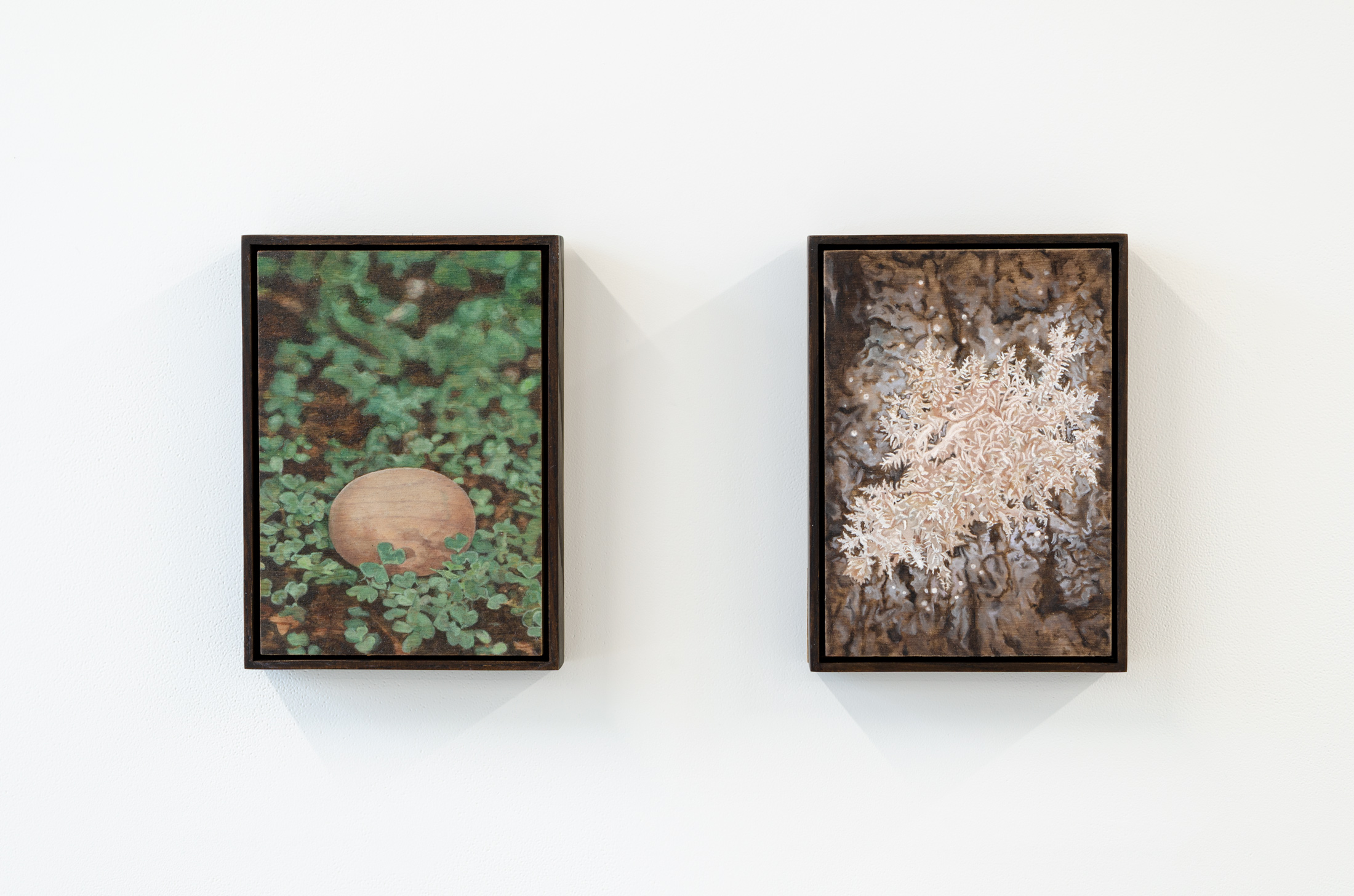 Screaming Waterfalls, Jhana Millers Gallery