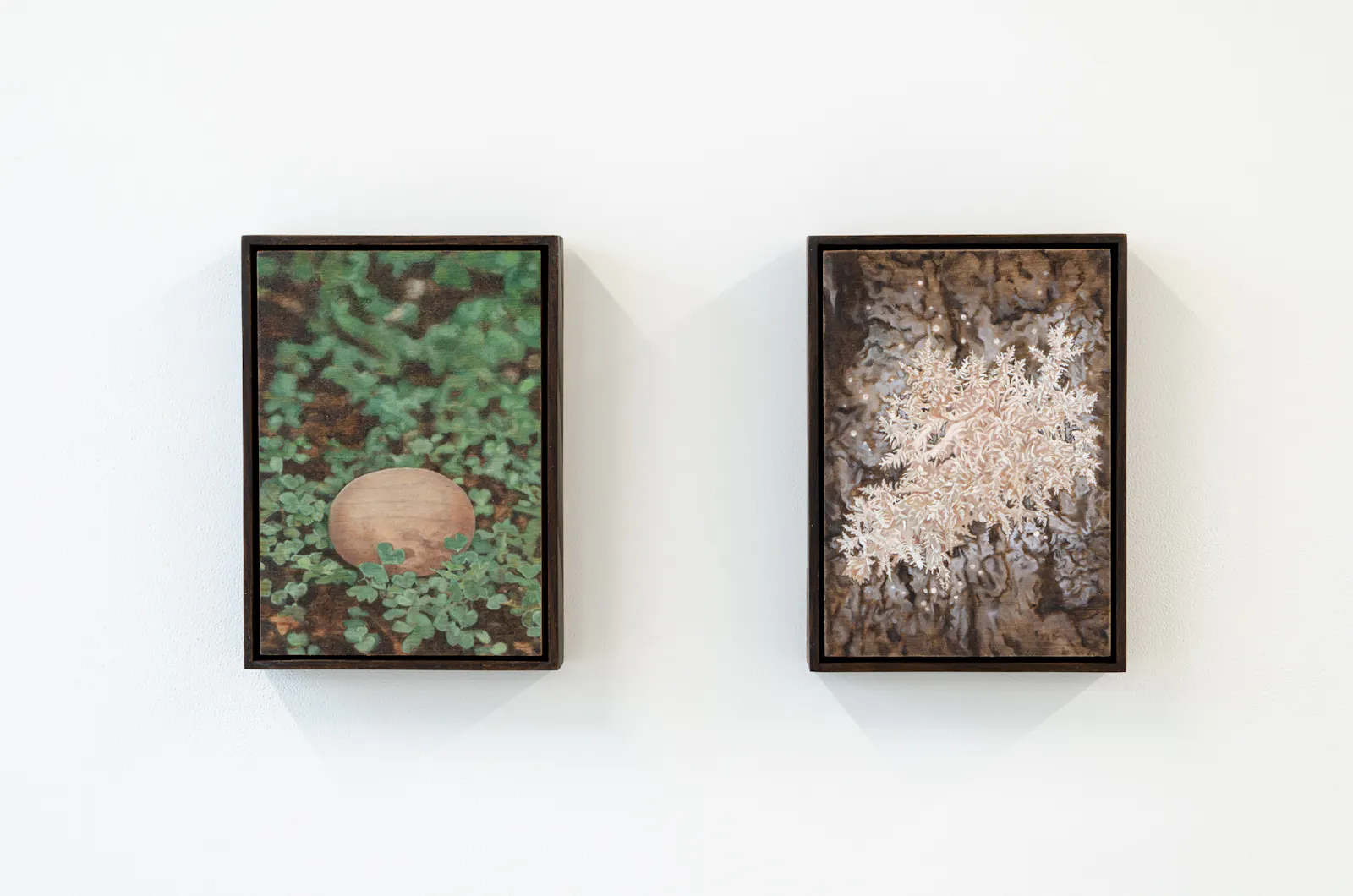 Screaming Waterfalls, Jhana Millers Gallery