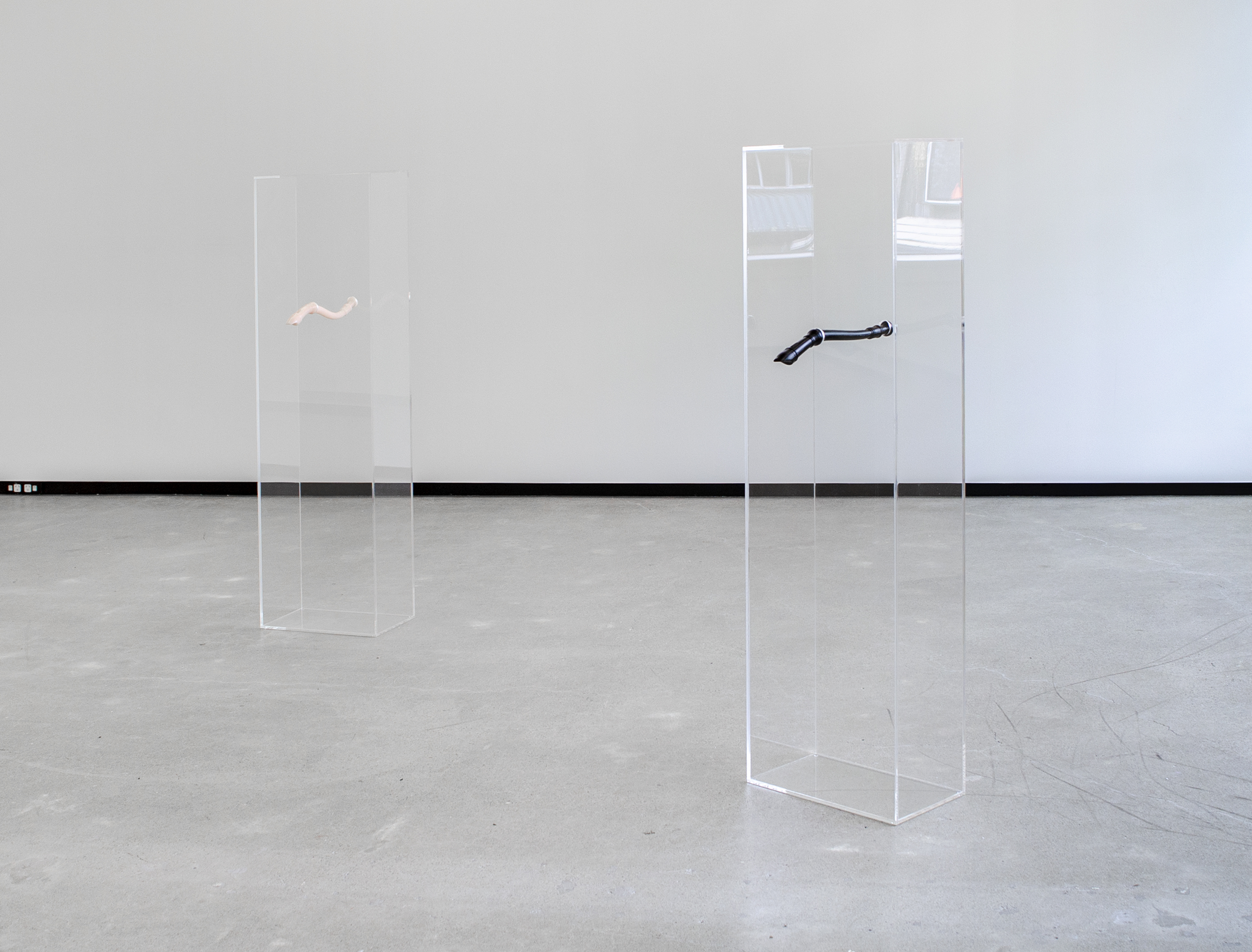 Caitlin Devoy Jhana Millers Gallery