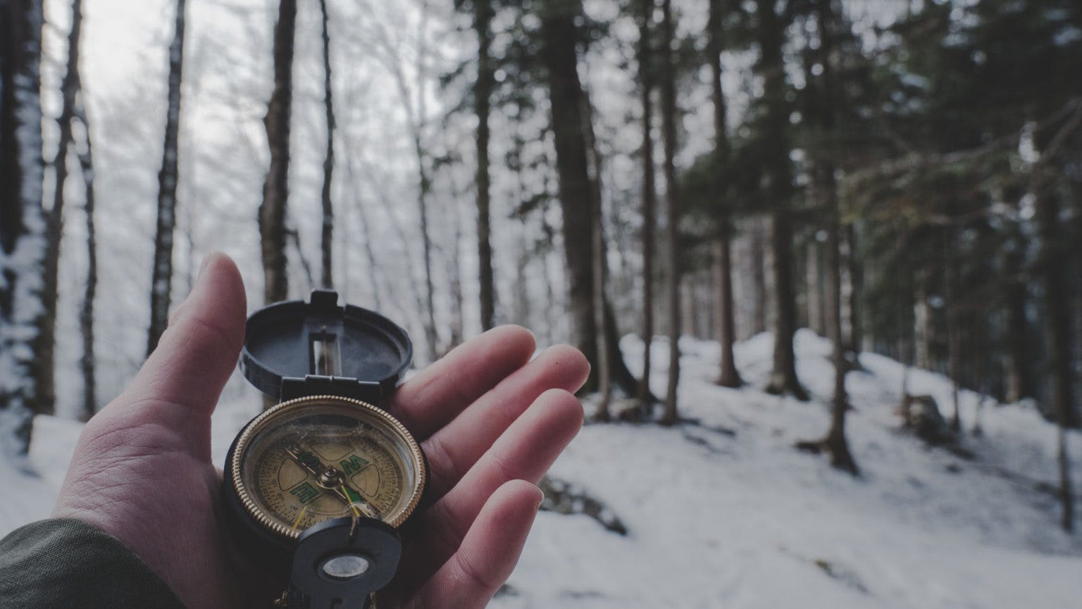 A compass in the hand